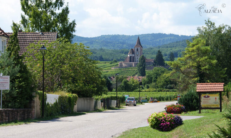 co warto zwiedzić w alzacji